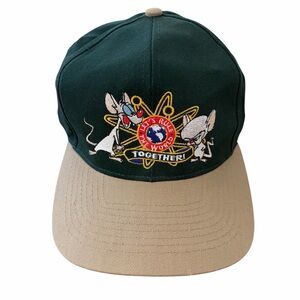 Vintage 1995 Pinky and The Brain Baseball SnapBack Hat The Animaniacs Dk Green